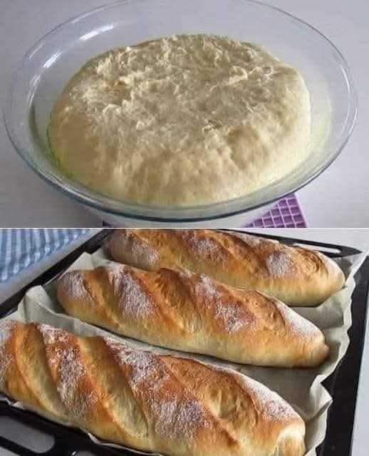 THE BREAD THAT WILL FB_IMG_1764912274127