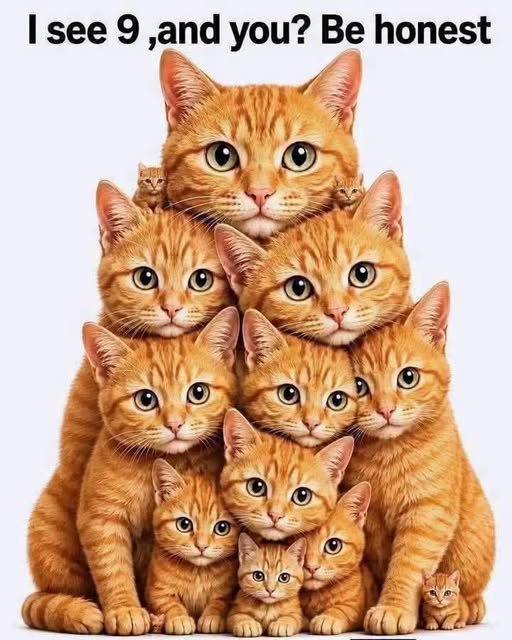 796460465_2040959146538558_7626965726596910949_n (1)
